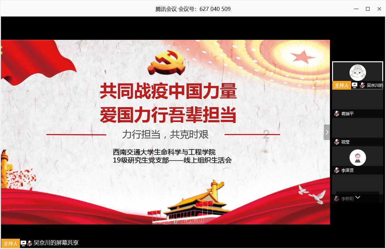 小猫钓鱼游戏龙王版有船