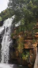 虫虫助手下载